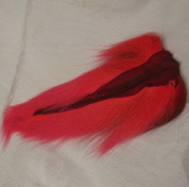 bucktail large fl red 